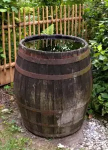barrel, rainwater, water-4431785.jpg